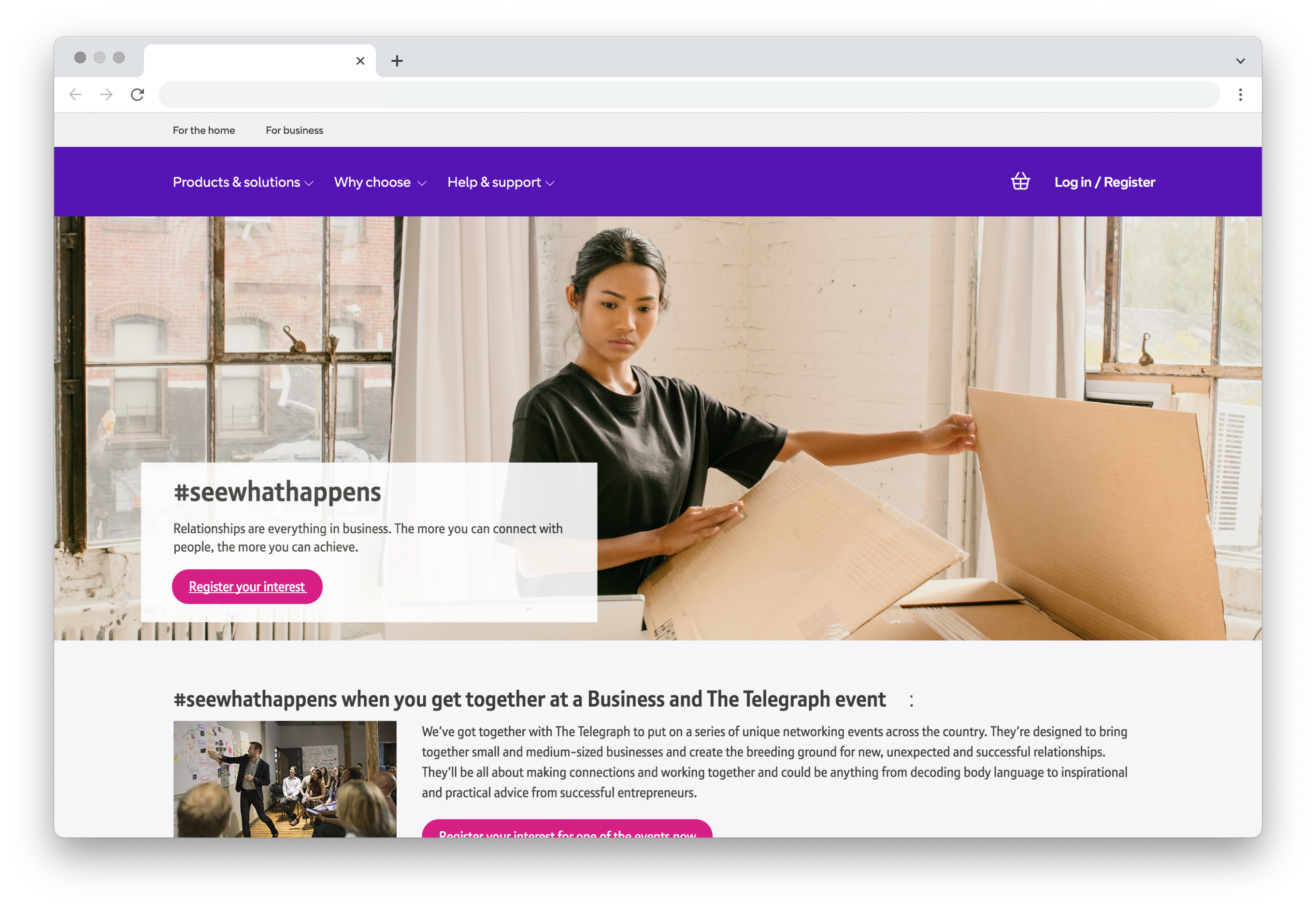Image of a Telephone company landing page